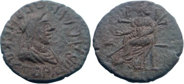 ������: 649-5200