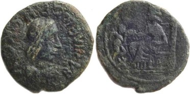 ������: 650-4046