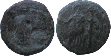 ������: 662-4567