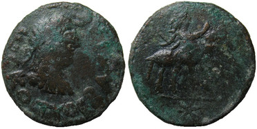 ������: 663-4855