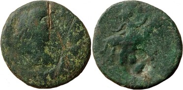 ������: 663-4855