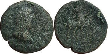 ������: 663-4855