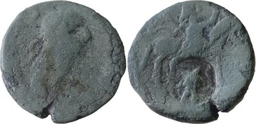 ������: 663-4855