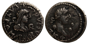 ������: 666-4336