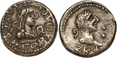 ������: 666-4336