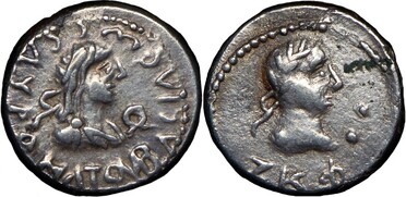 ������: 666-4336