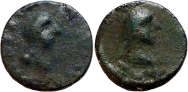 ������: 666-5159