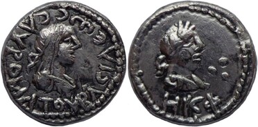 ������: 667-5263