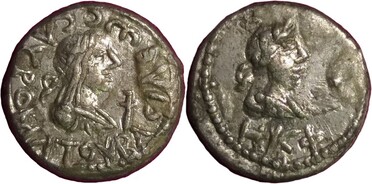 ������: 667-5291