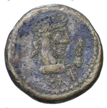 ������: 677-4605