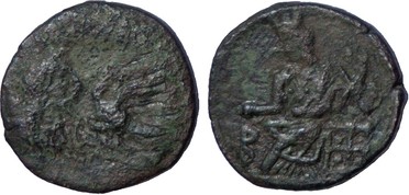 ������: 678-4036