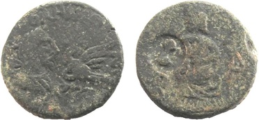 ������: 678-4036