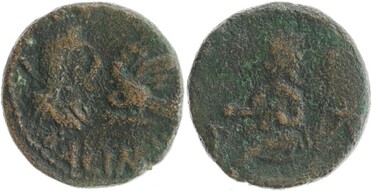 ������: 678-4036