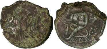 ������: 679-5272