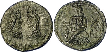 ������: 679-5272