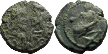 ������: 684-4084