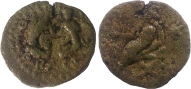 ������: 684-4084