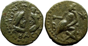 ������: 684-4084