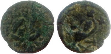 ������: 684-4084