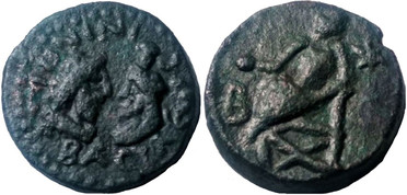 ������: 684-4084