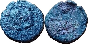 ������: 685-4649