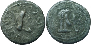 ������: 696-4419