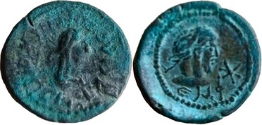 ������: 696-4419