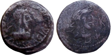 ������: 696-4419