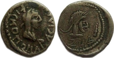 ������: 698-4219