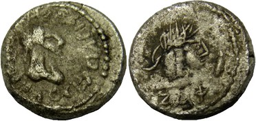 ������: 698-4219