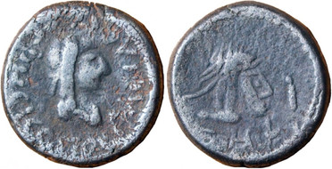 ������: 698-4219