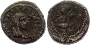 ������: 698-4219