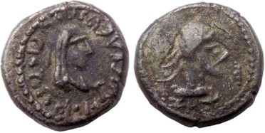 ������: 698-4219