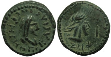 ������: 698-4219