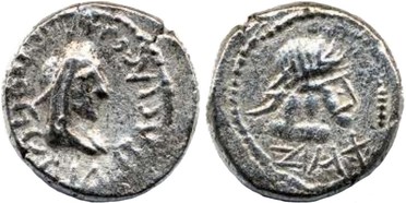 ������: 698-4219