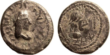 ������: 698-4219