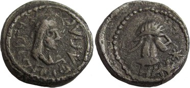 ������: 699-4015