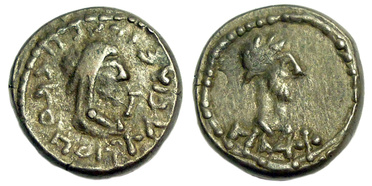 ������: 699-4156