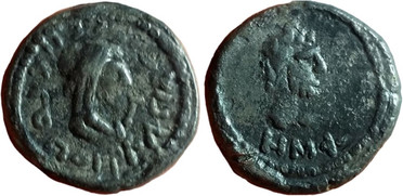 ������: 699-4156