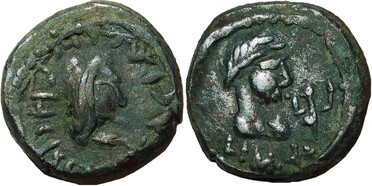 ������: 699-4383