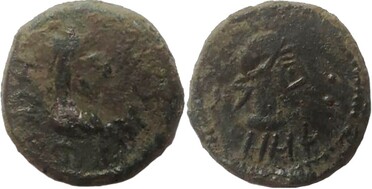 ������: 699-4487