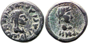 ������: 699-4554