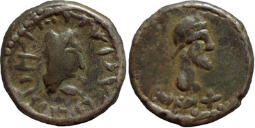 ������: 699-4554