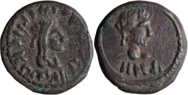 ������: 699-4554