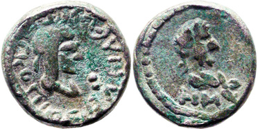 ������: 699-4555