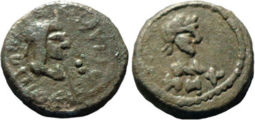 ������: 699-4555