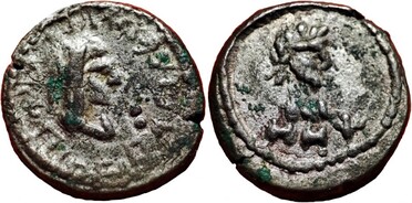 ������: 699-4555