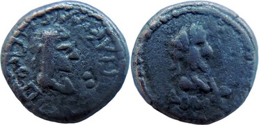 ������: 699-4555