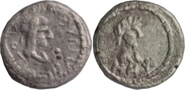 ������: 699-4555