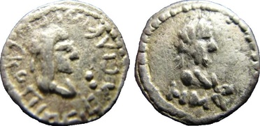 ������: 699-4555